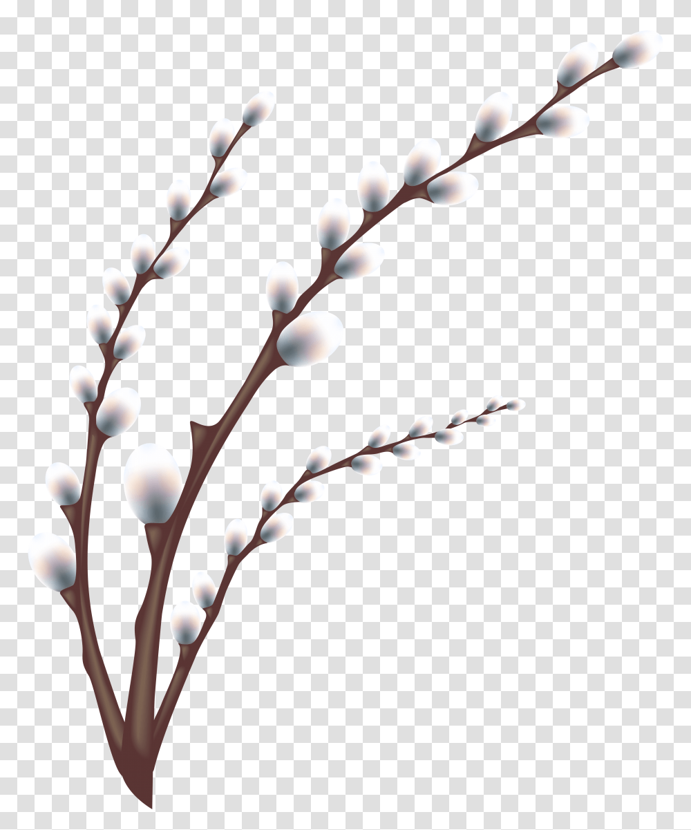 Easter Willow Tree Branch Clip Art Image, Plant, Nature, Outdoors, Flower Transparent Png