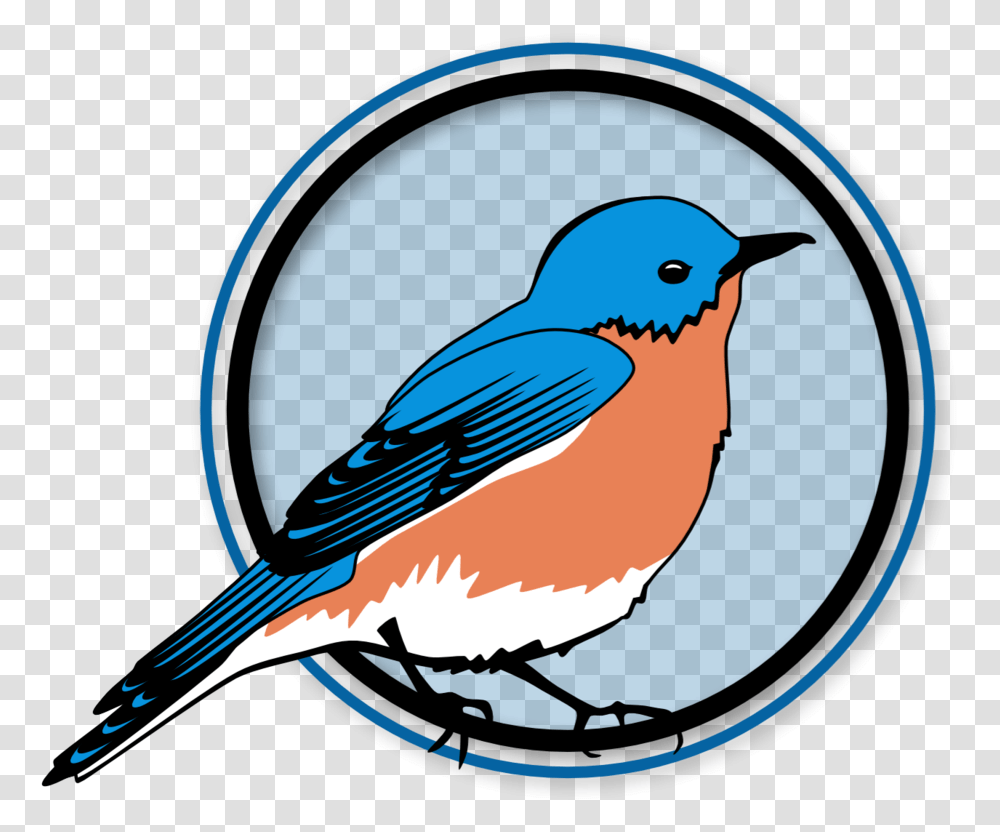Eastern Bluebird, Animal, Jay, Blue Jay Transparent Png