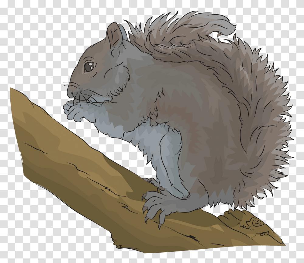 Eastern Grey Squirrel Clipart Fox Squirrel, Rodent, Mammal, Animal, Painting Transparent Png