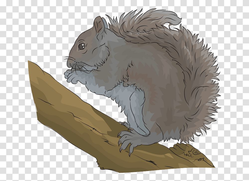Eastern Grey Squirrel Clipart, Rodent, Mammal, Animal, Painting Transparent Png