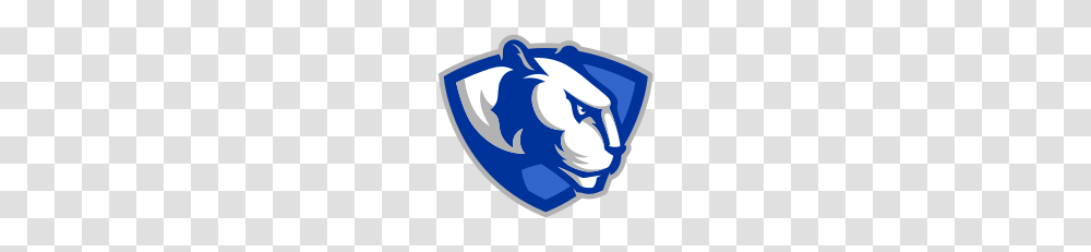 Eastern Illinois Panthers, Armor, Nature, Outdoors, Snow Transparent Png