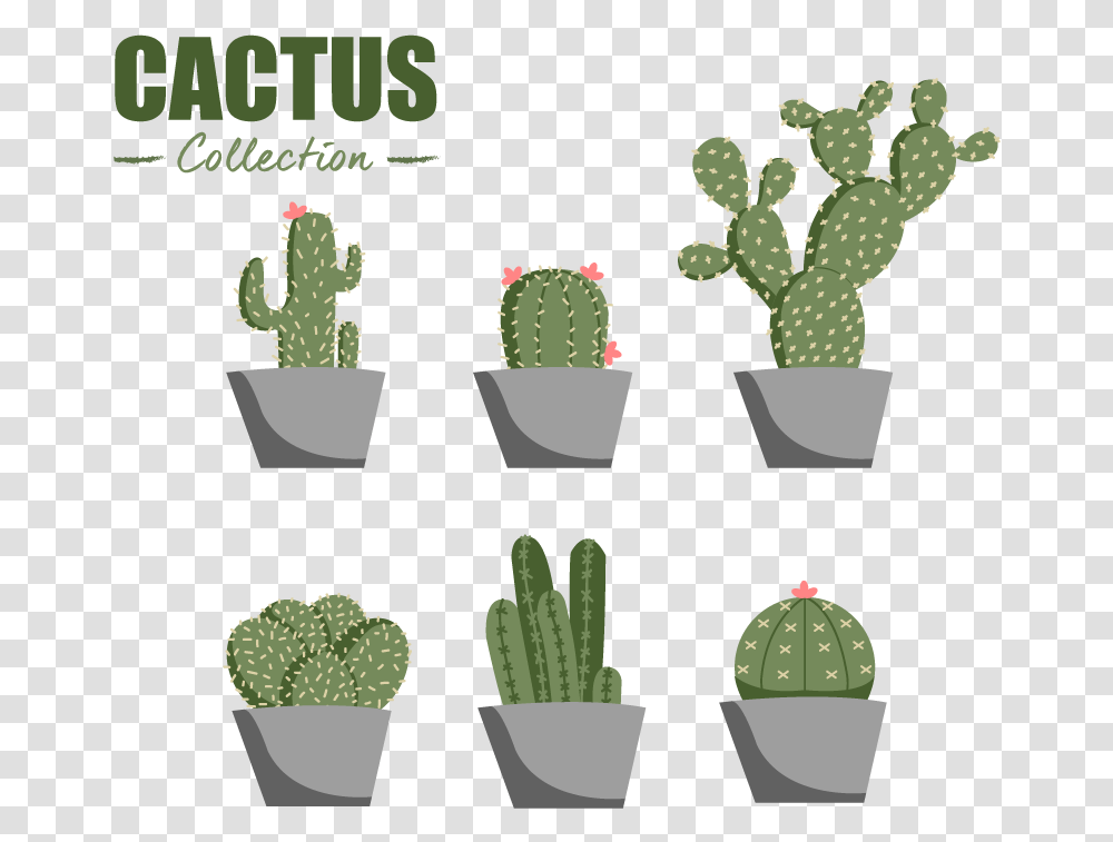 Eastern Prickly Pear, Plant, Cactus, Pot, Ice Pop Transparent Png
