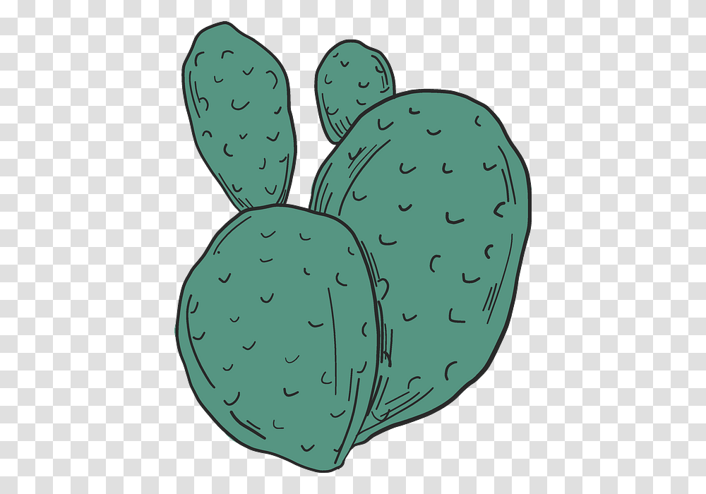Eastern Prickly Pear, Plant, Cactus, Rug, Fruit Transparent Png