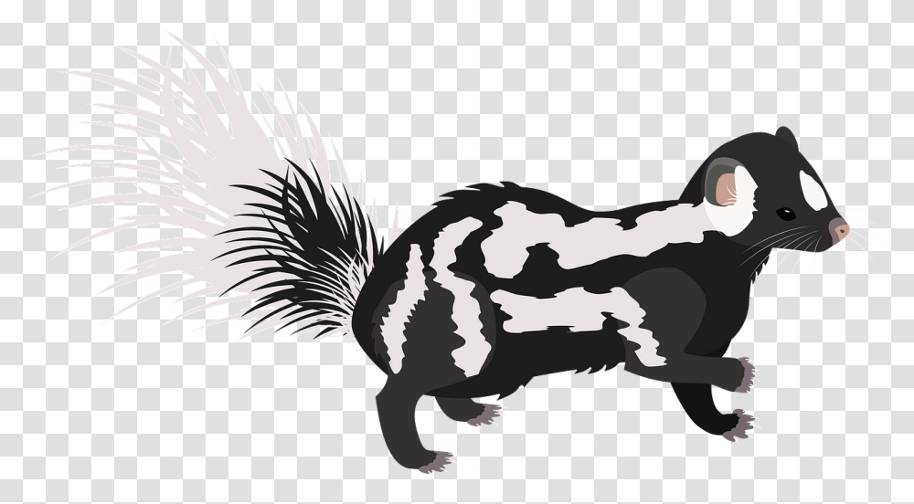 Eastern Spotted Skunk Clipart Illustration, Animal, Mammal, Wildlife, Bird Transparent Png