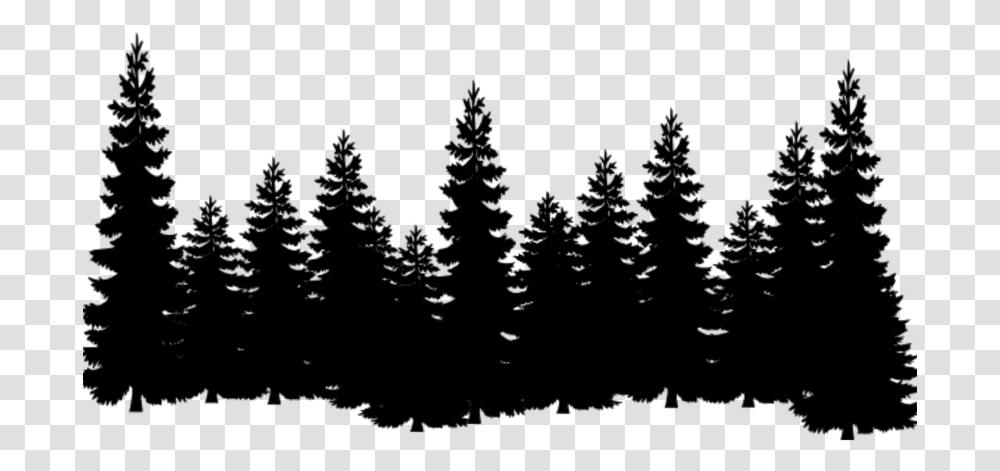 Eastern White Pine Tree Clip Art Cedar Pine Tree Silhouette, Gray, World Of Warcraft Transparent Png