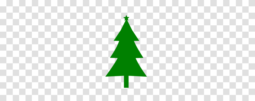 Eastern White Pine Tree Document Evergreen, Plant, Star Symbol, Ornament Transparent Png