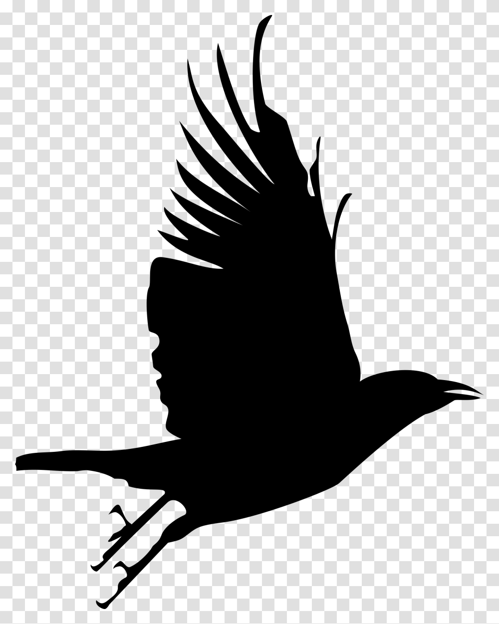 Easy Crafts Crow Crow Silhouette, Gray, World Of Warcraft Transparent Png
