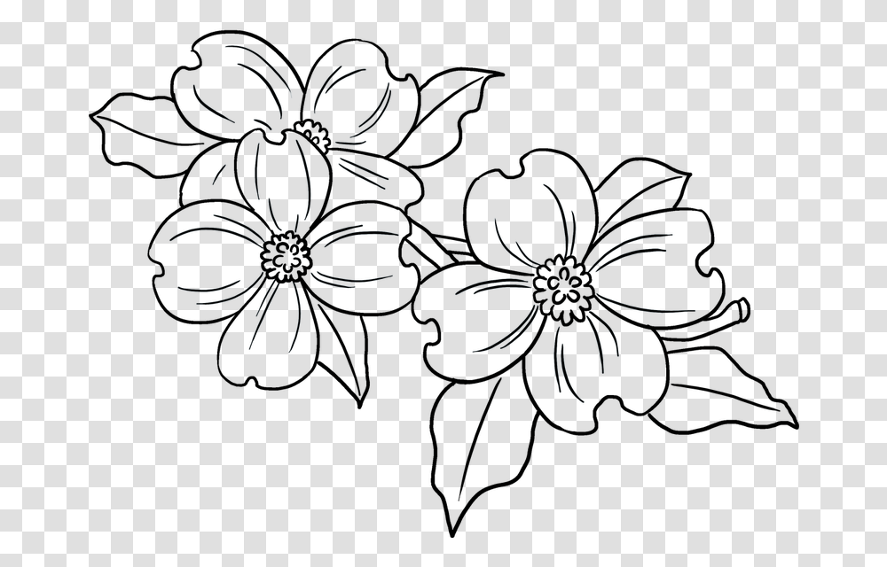Easy Dogwood Flower Drawing, Nature, Outdoors, Spider, Ice Transparent Png