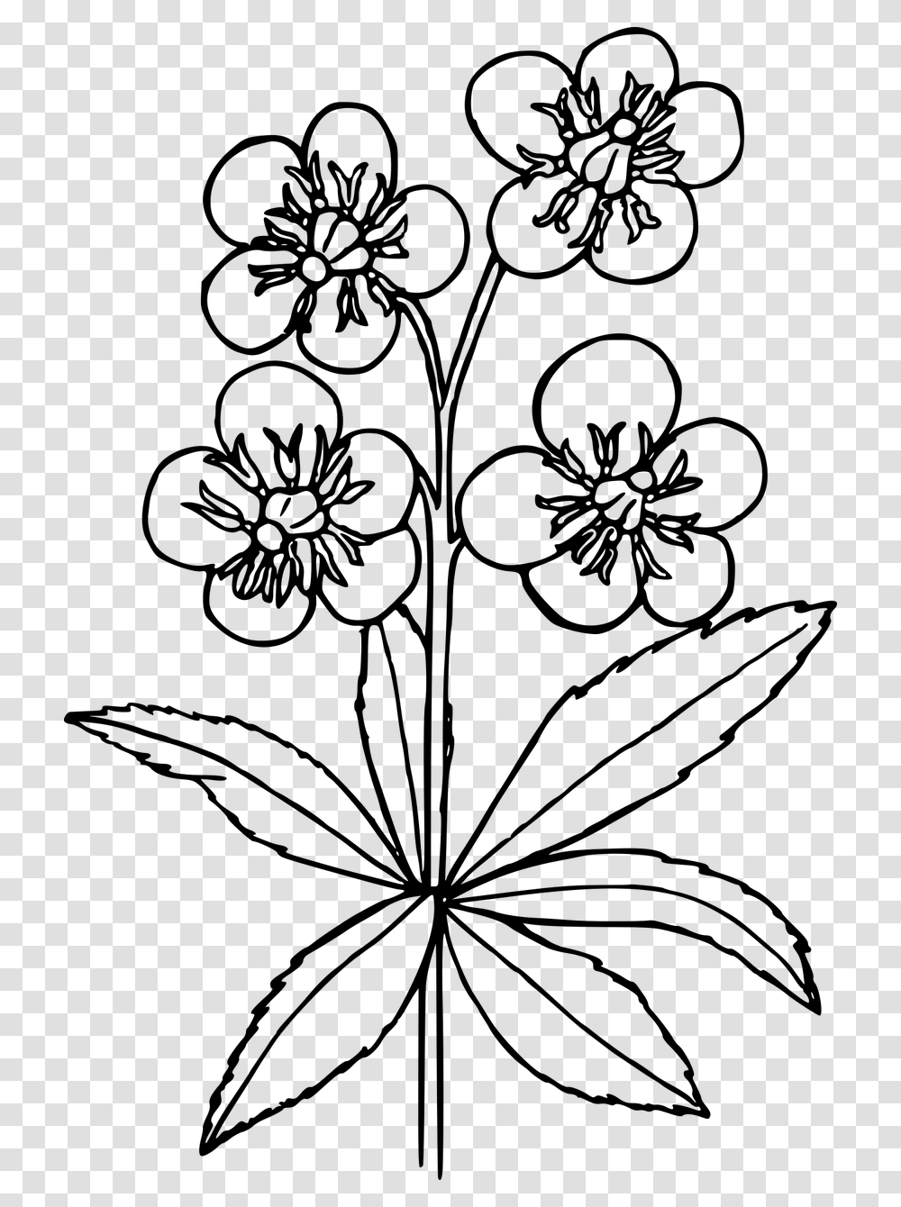 Easy Drawings Of Wild Flowers, Gray, World Of Warcraft Transparent Png