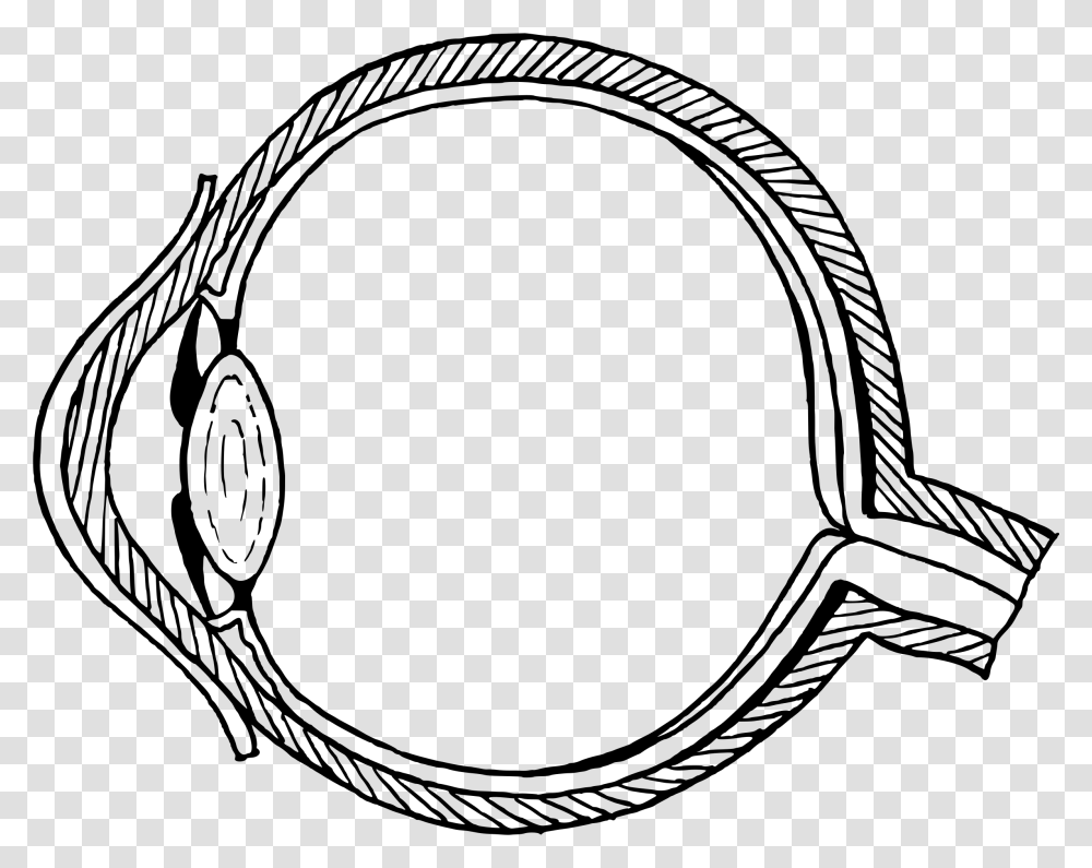 Easy Structure Of Eye, Gray, World Of Warcraft Transparent Png