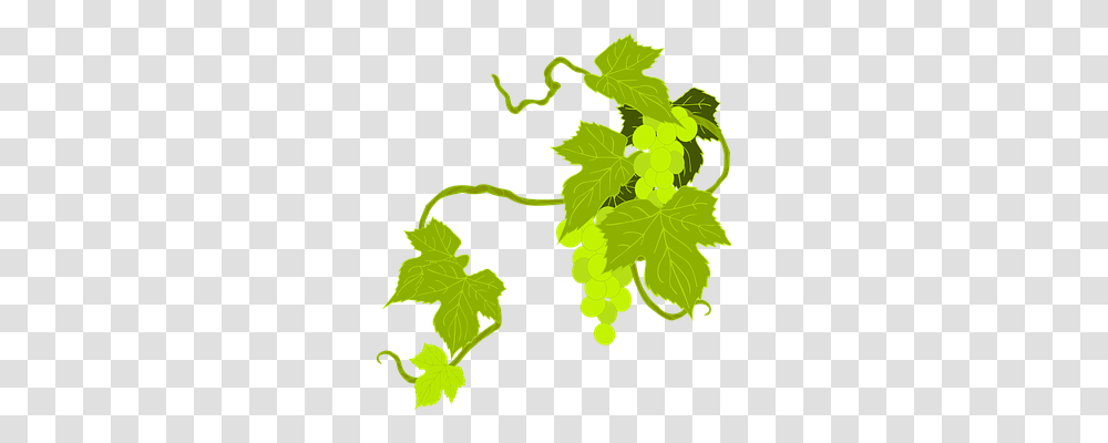 Eat Nature, Leaf, Plant, Vine Transparent Png