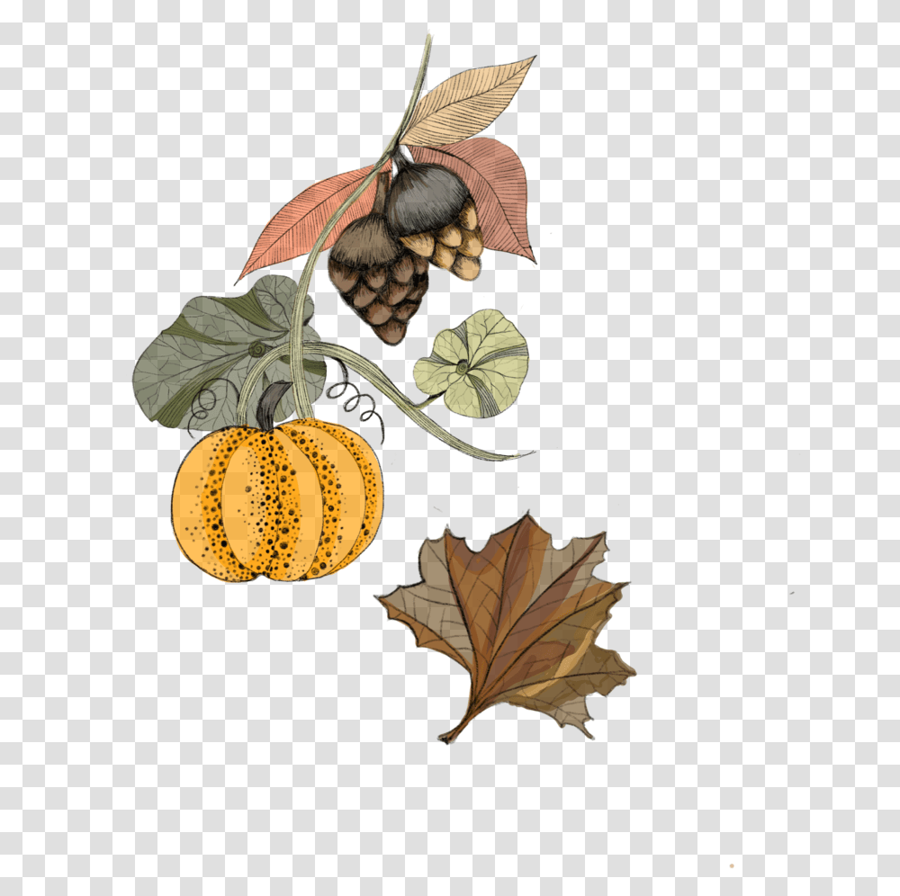 Eat 3 Illustration, Leaf, Plant, Tree, Annonaceae Transparent Png