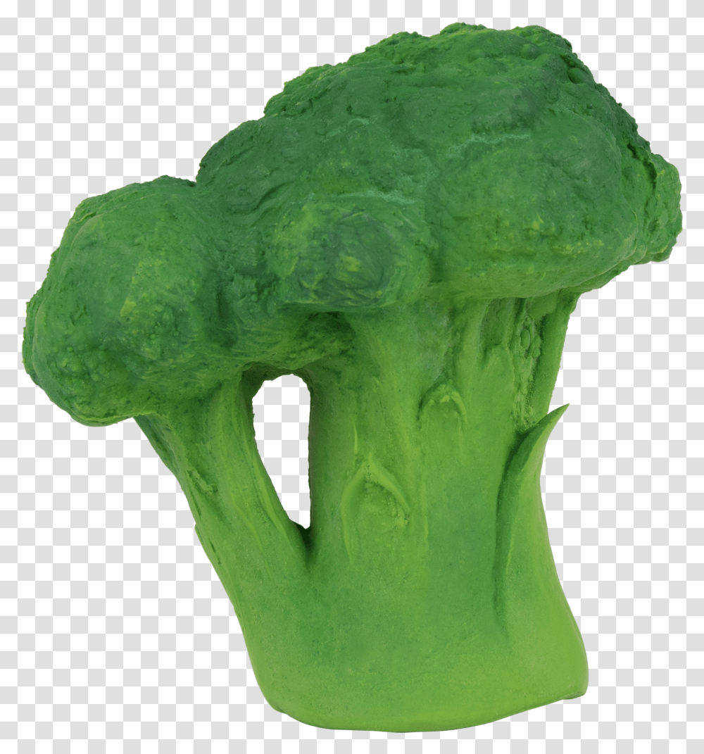 Eat Your Broccoli TeetherClass Lazyload Lazyload Oli And Carol Teething Toy, Plant, Vegetable, Food, Fungus Transparent Png