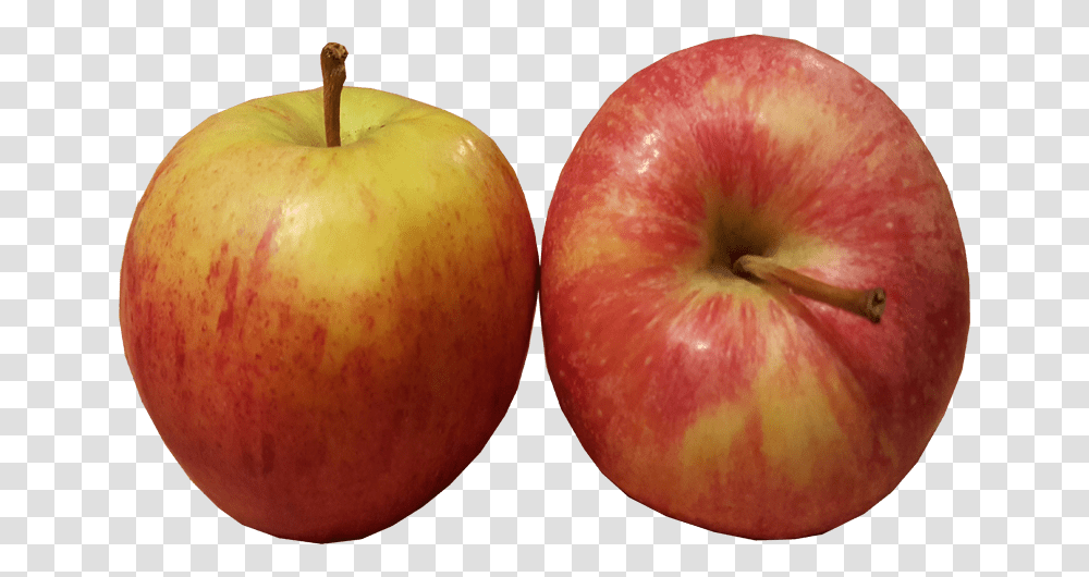 Eating Apples Fruit Image Apples On, Plant, Food Transparent Png