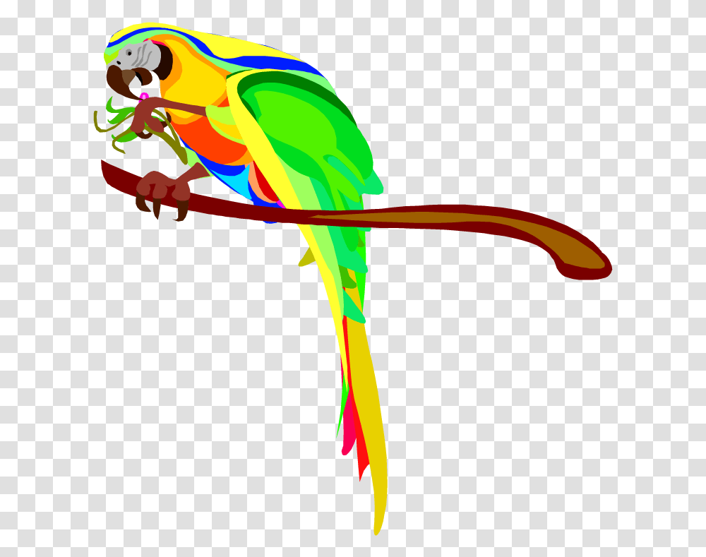 Eating Clipart Australian Parrots Clipart, Animal, Bird, Bow, Parakeet Transparent Png