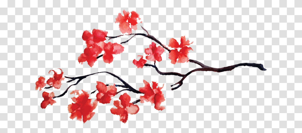 Eating Out Red Cherry Blossom Flower Full Size Watercolor Red Cherry Blossoms, Plant, Petal Transparent Png