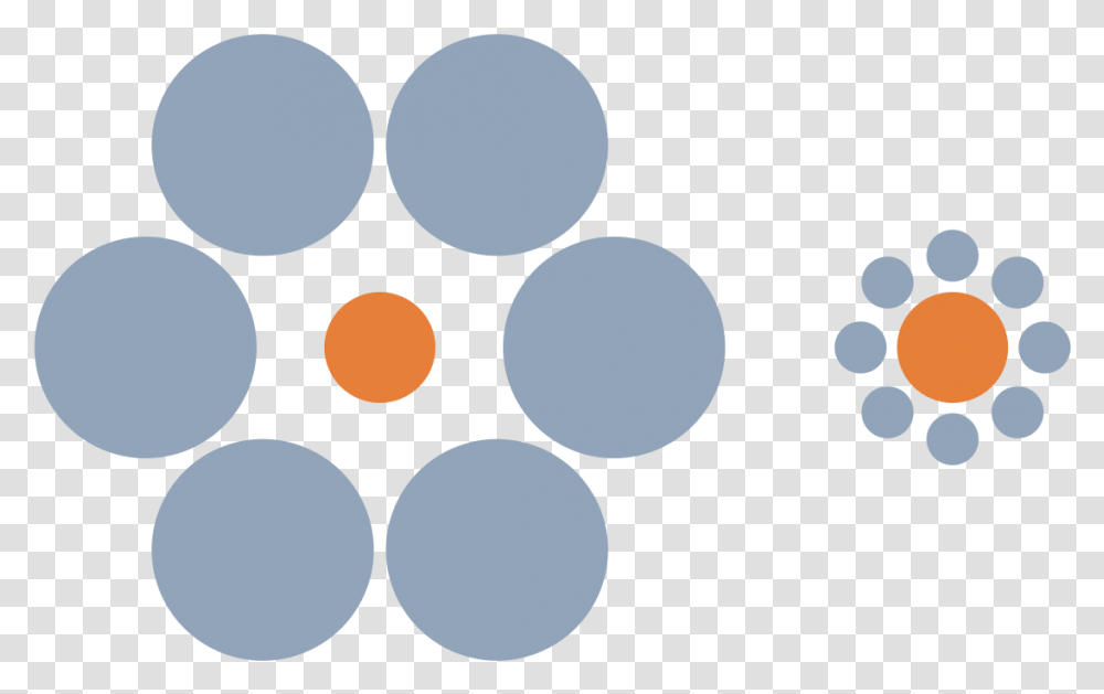 Ebbinghaus Illusion Two Circles That Are Same Size But Look Different, Sphere, Texture, Palette, Paint Container Transparent Png