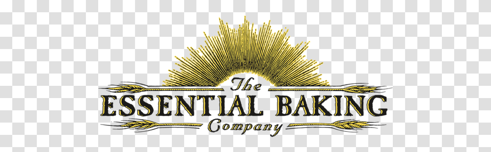 Ebc Logo 129cs1 Horizontal Essential Baking Company Logo, World Of Warcraft Transparent Png