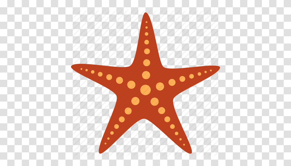 Echinoderm Fish Marine Red Sea Star Starfish Icon, Invertebrate, Sea Life, Animal, Guitar Transparent Png