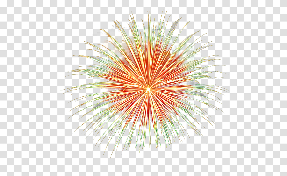 Echinoderm, Nature, Outdoors, Night, Fireworks Transparent Png