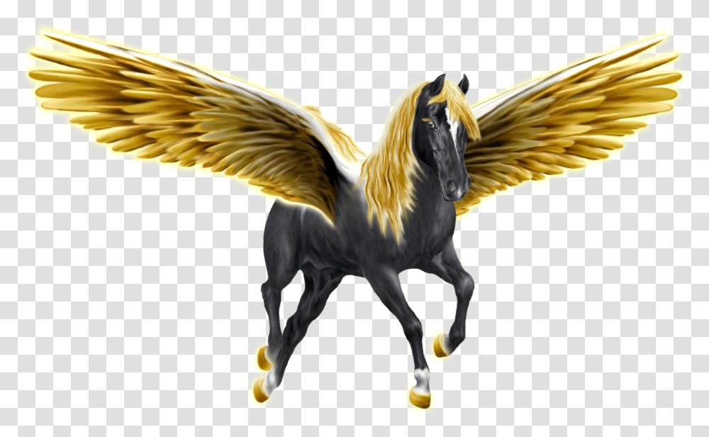 ECM PegasusGoldenWingsBlack1325 Rev, Fantasy, Bird, Animal Transparent Png