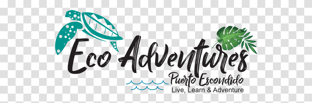 Eco Adventures Puerto Escondido Calligraphy, Text, Alphabet, Handwriting, Symbol Transparent Png