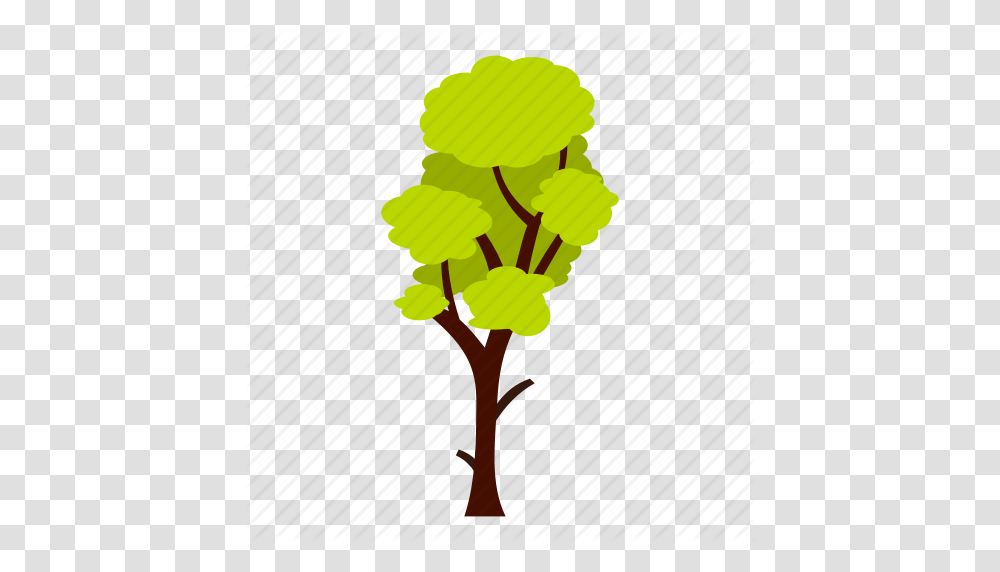 Eco Ecology Leaf Nature Summer Tall Tree Icon, Plant, Flower, Blossom, Sweets Transparent Png