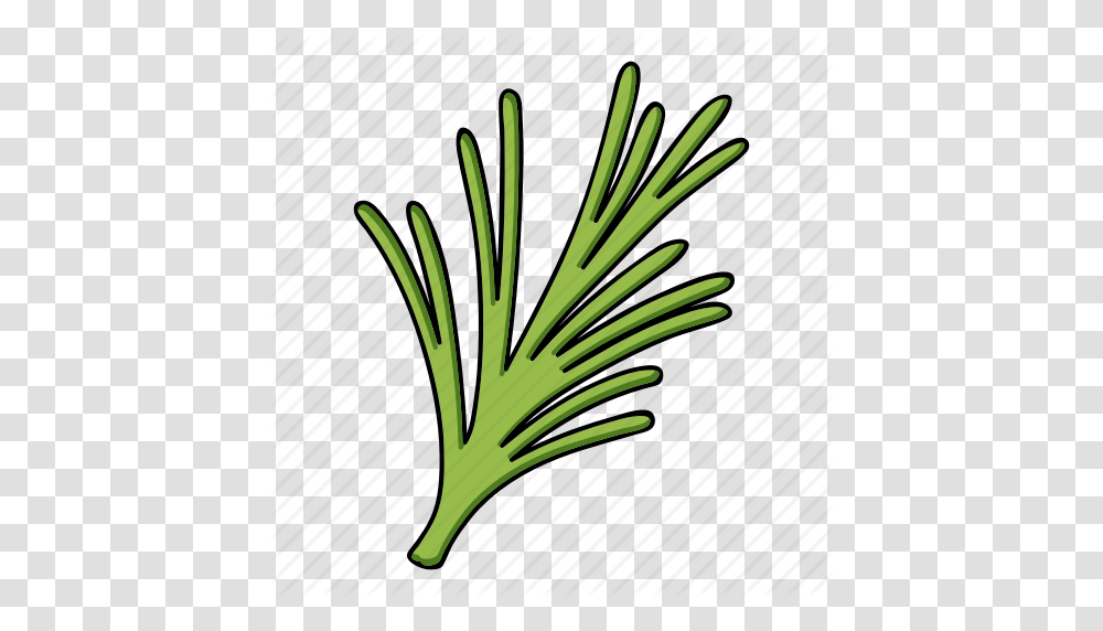 Eco Food Leaf Plant Rosemary Seasoning Spice Icon, Produce, Vegetable, Leek, Dill Transparent Png