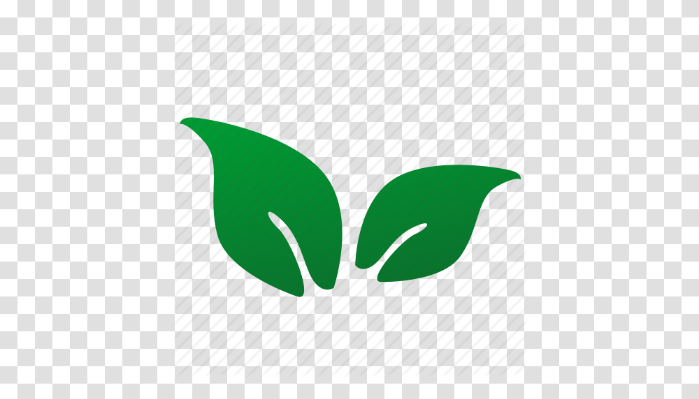 Eco Green Leaf Plant Tea Icon, Seed, Grain, Produce, Vegetable Transparent Png