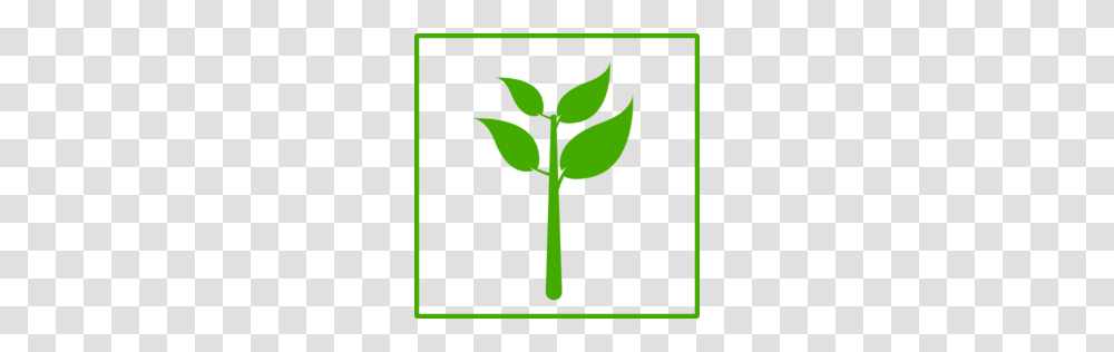 Eco Green Plant Icon Clipart, Vegetable, Food, Cross Transparent Png