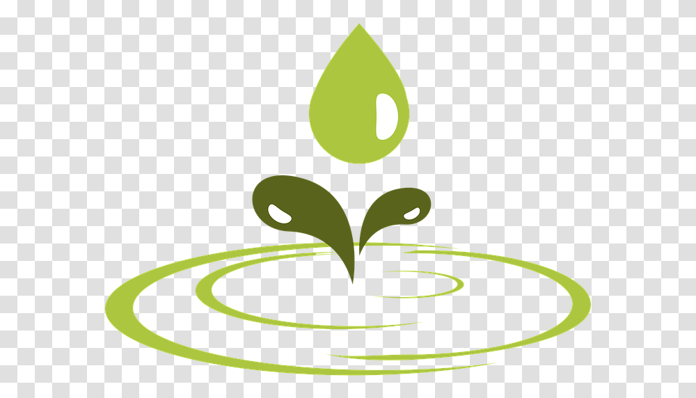 Eco Green Water Drop Vector, Droplet, Plant, Leaf, Sprout Transparent Png
