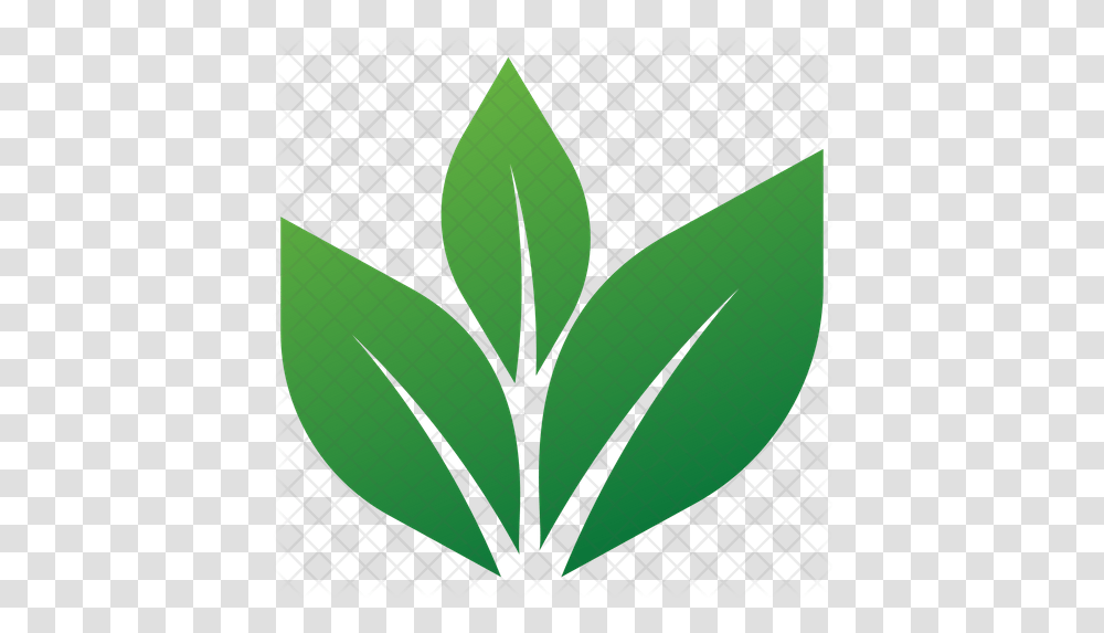 Eco Leaves Icon Of Flat Style Temple Of Apollo, Leaf, Plant, Aloe, Tennis Racket Transparent Png
