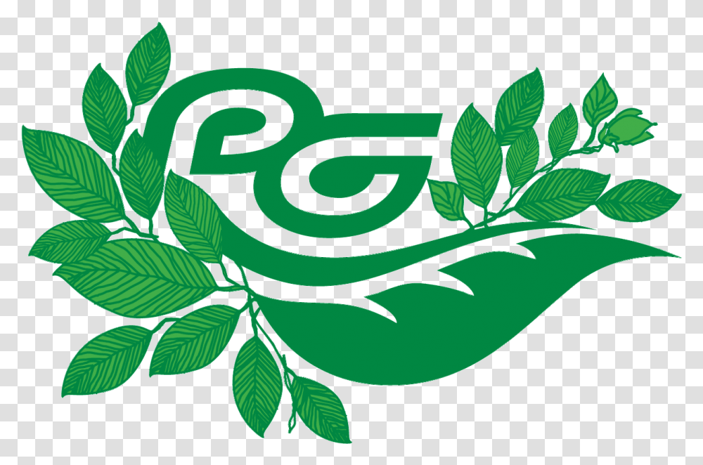 Eco Logo The Prolific Groupthe Prolific Group Language, Green, Leaf, Plant, Text Transparent Png