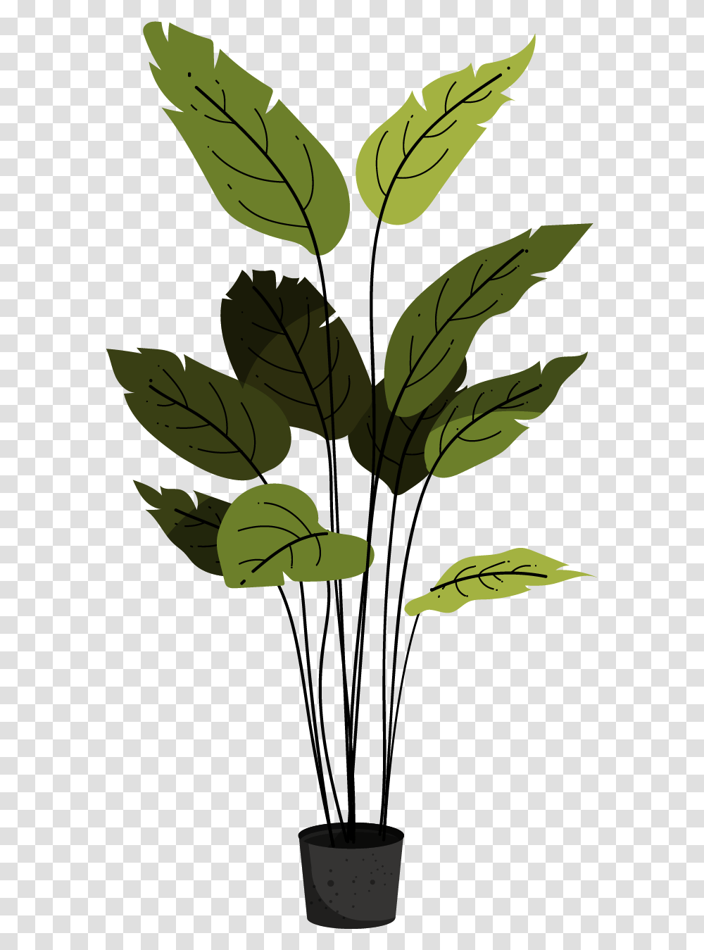 Eco Plants, Leaf, Green, Pattern Transparent Png