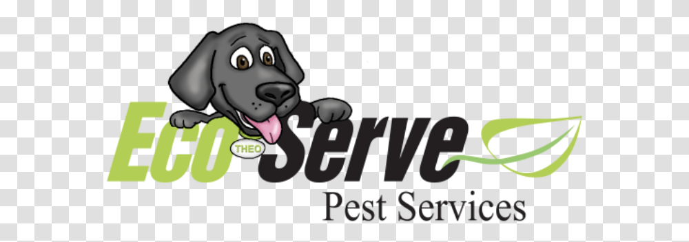 Eco Serve Pest Services One Direction Quotes, Mammal, Animal, Word Transparent Png
