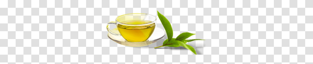 Eco Valley Organic Green Tea Darjeeling Tea, Vase, Jar, Pottery, Plant Transparent Png
