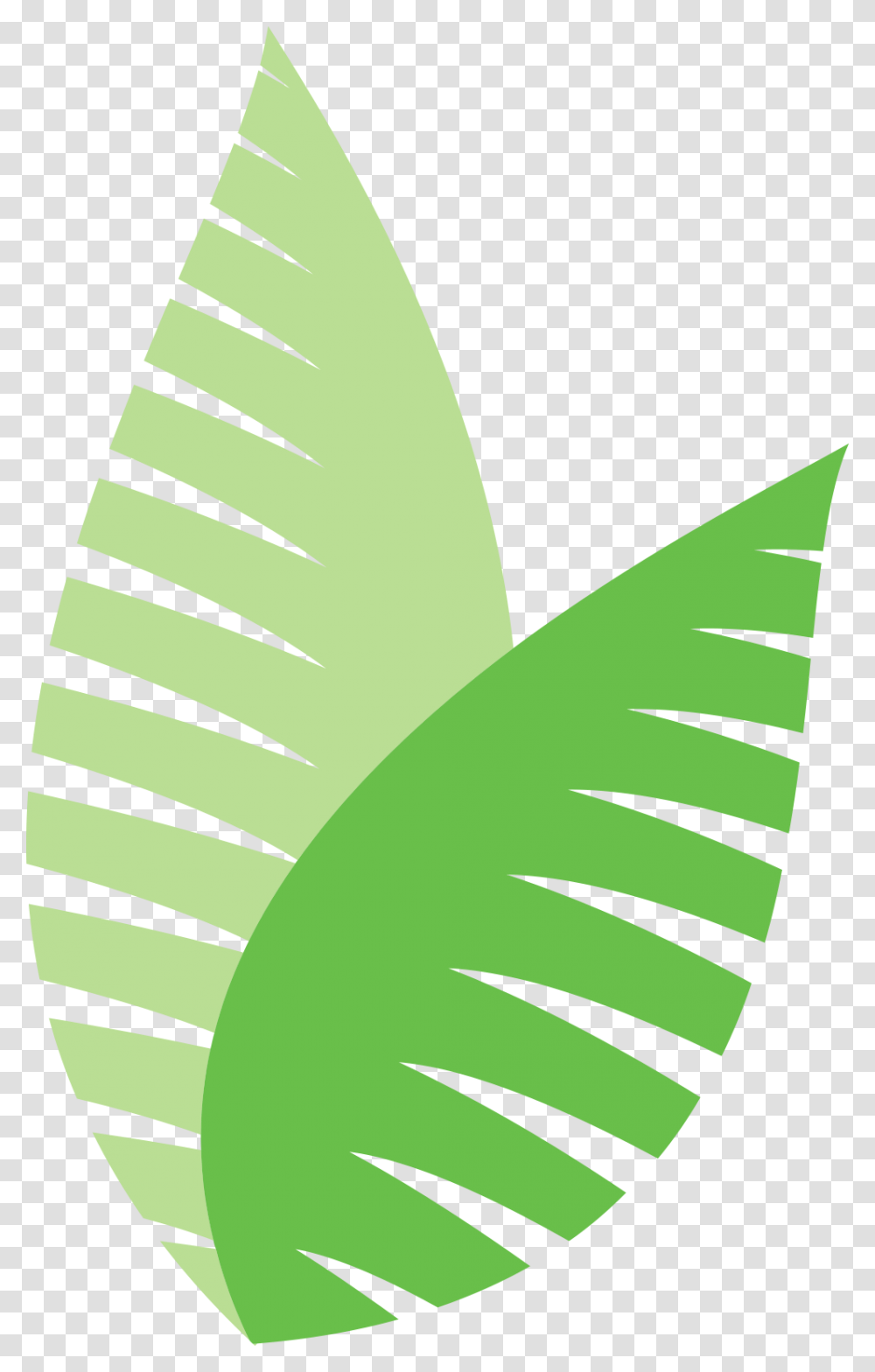 Ecodesign Pflanze Farn Graphic Design, Plant, Food, Villa, House Transparent Png