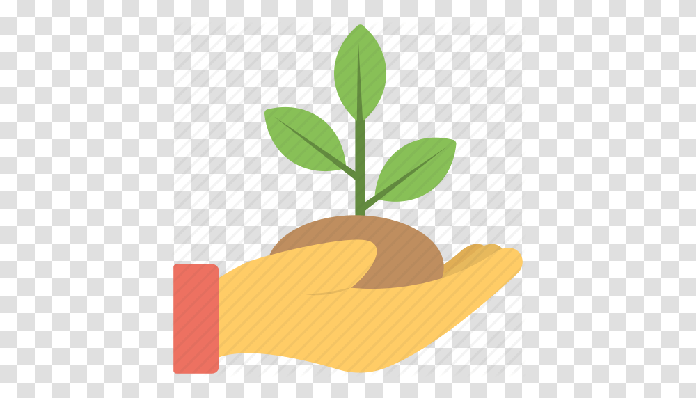 Ecology Concept Green Foliage Greenery Leaves Mint Leaf Tree, Plant, Food, Label Transparent Png