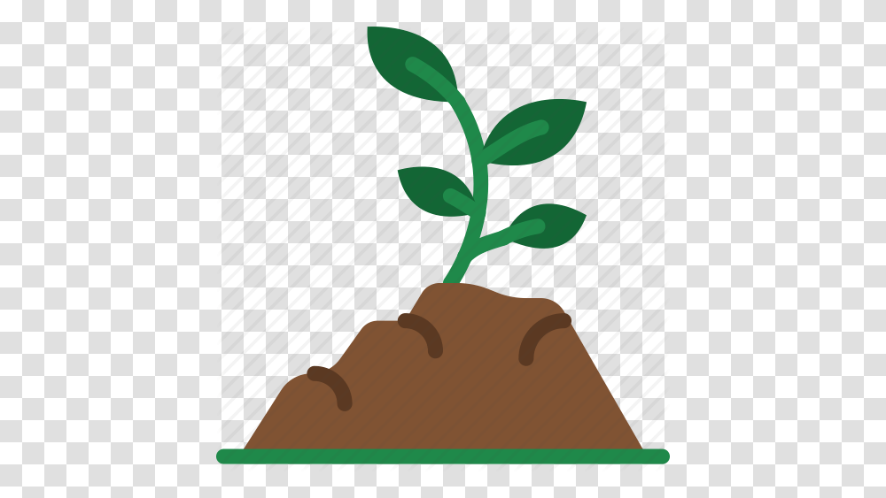 Ecology Enviorment Fertile Nature Soil Icon, Plant, Root, Flower, Blossom Transparent Png