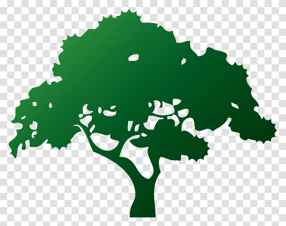 Ecology Environment Tree Drawing Pohon Cdr, Plant, Green, Graphics, Art Transparent Png