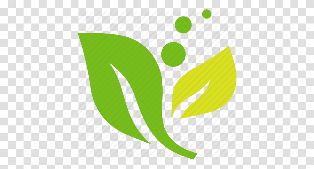 Ecology Environmental Green Leaves Plant Icon, Vegetable, Food, Produce, Amphibian Transparent Png