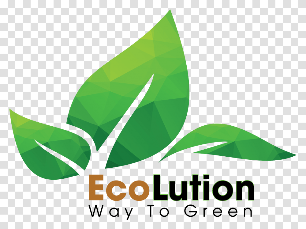 Ecolution Vietnam Ecolution Vietnam Rationalfx, Plant, Leaf, Vase, Jar Transparent Png