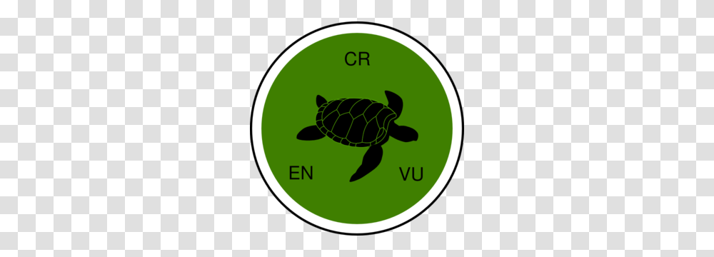 Ecosystem Cultural Service Endangered Species Habitat Clip Art, Animal, Sea Life, Turtle, Reptile Transparent Png