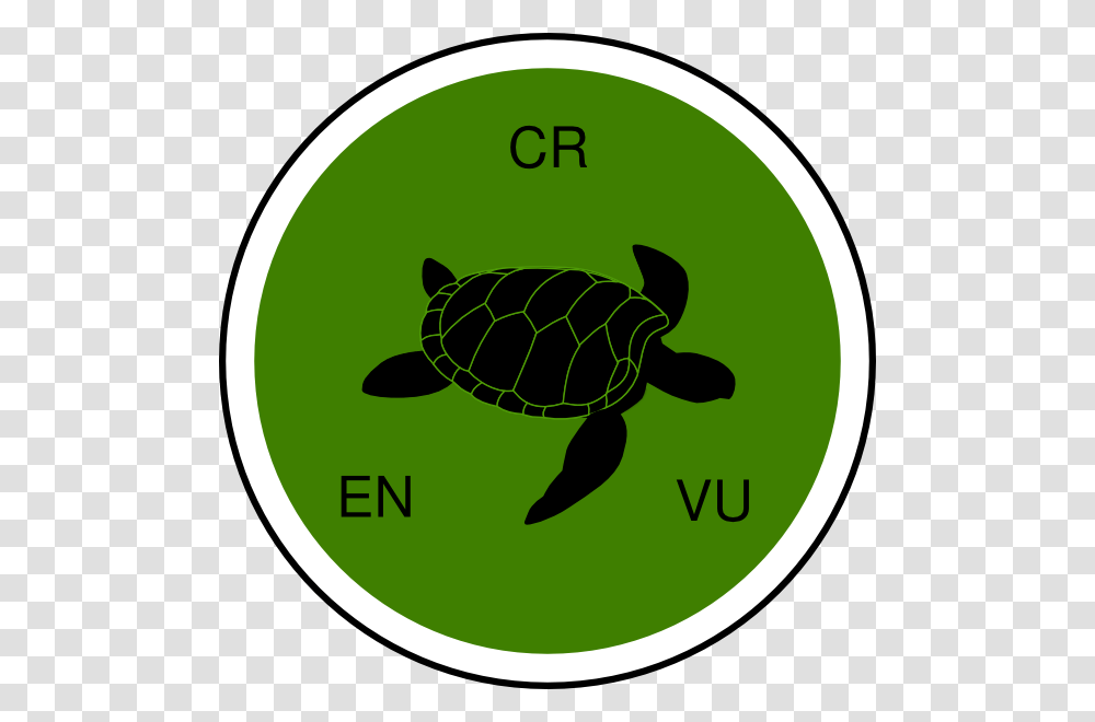 Ecosystem Cultural Service Endangered Species Habitat Clip Art, Animal, Sea Life, Turtle, Reptile Transparent Png