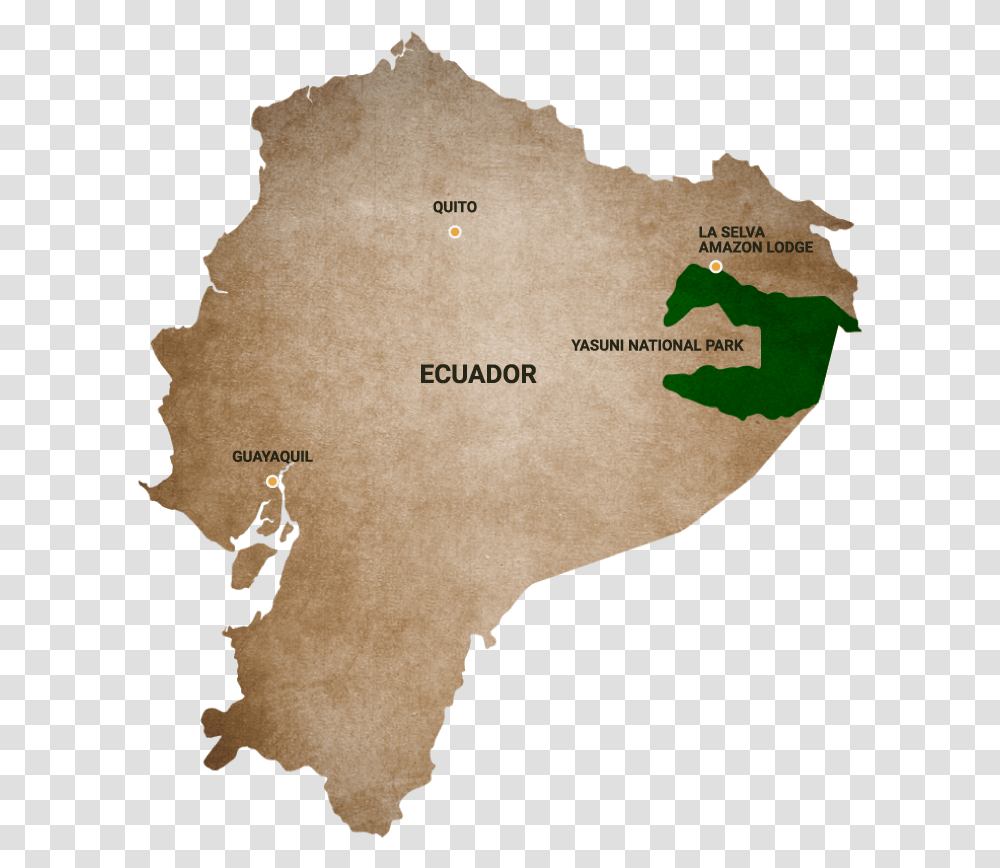 Ecuador Map Vector, Diagram, Atlas, Plot, Vegetation Transparent Png