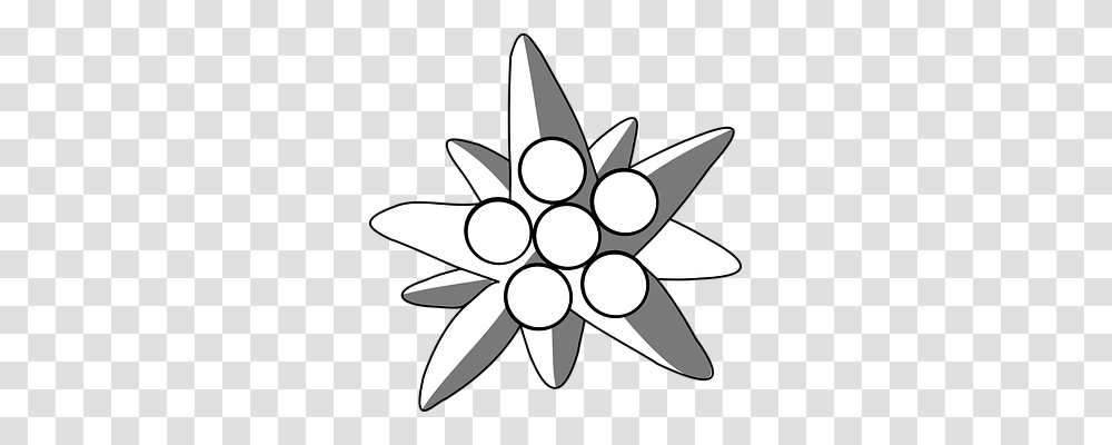 Edelweiss Nature, Star Symbol, Cross Transparent Png