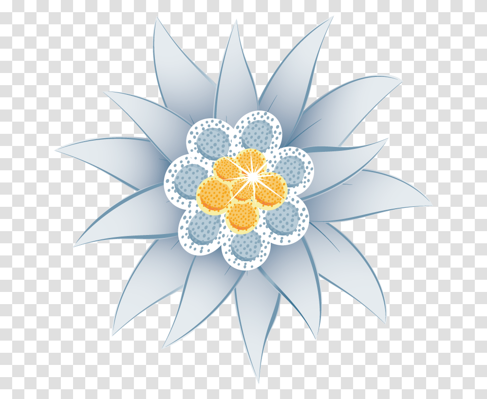 Edelweiss Flower Clipart Edelweis, Pattern, Ornament, Fractal, Lamp Transparent Png