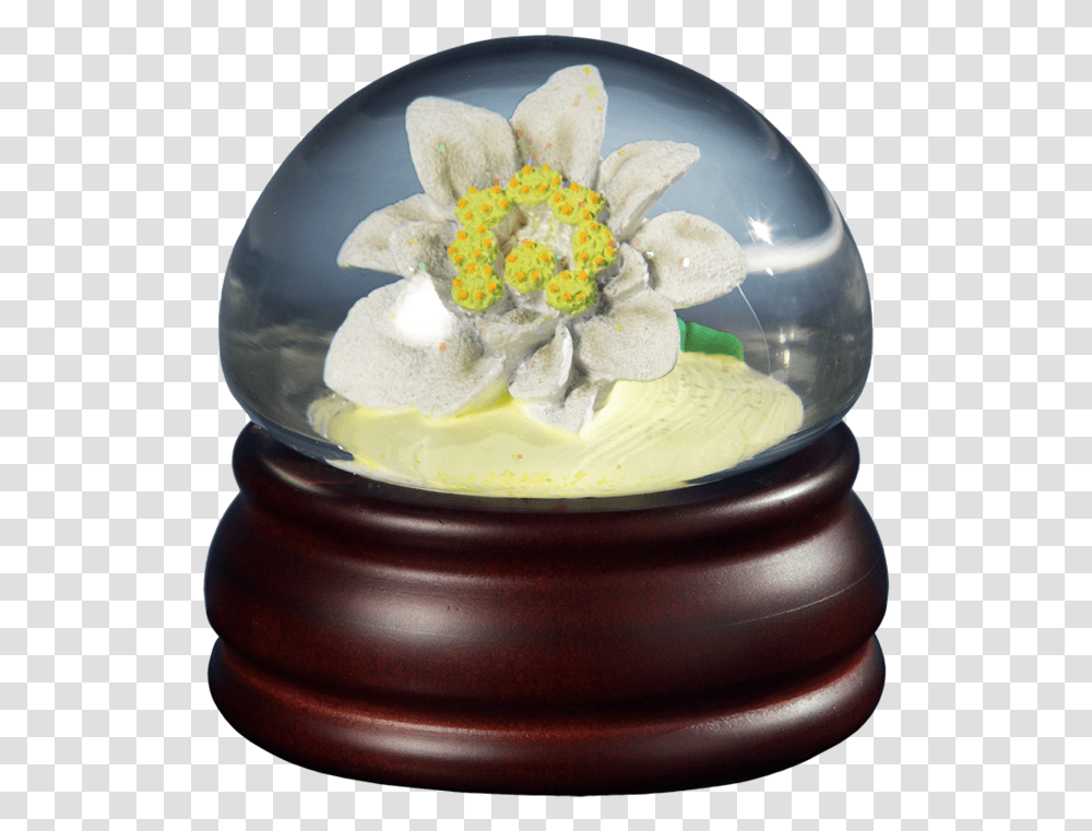 Edelweiss Flower Mushroom WgClass Lazyload None Jasmine, Dish, Meal, Food, Bowl Transparent Png