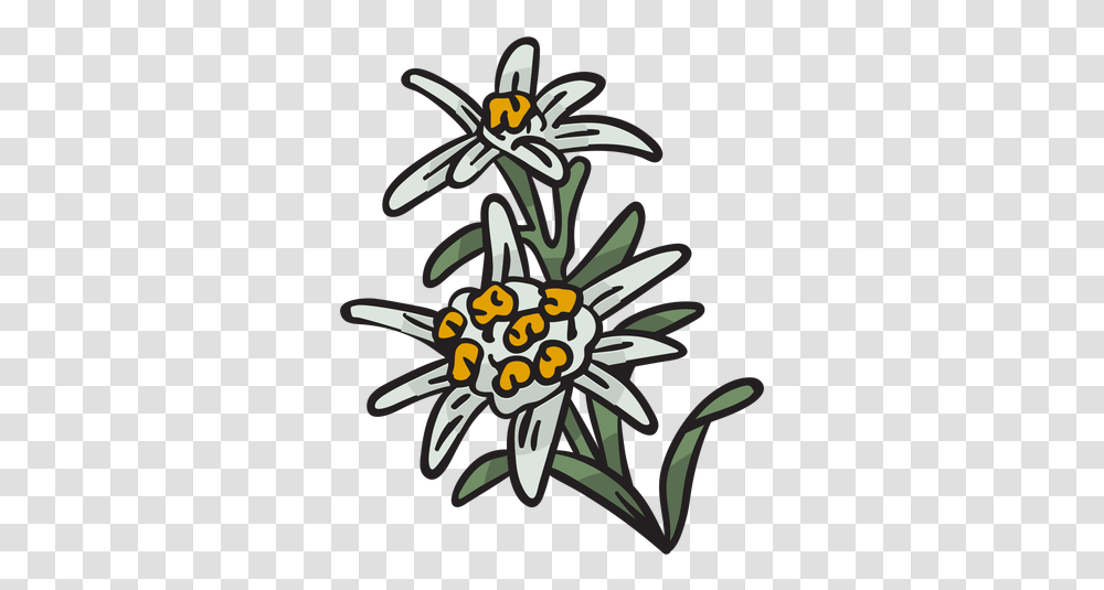 Edelweiss National Flower Switzerland Illustration Edelweiss, Plant, Blossom, Label, Text Transparent Png