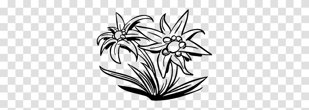 Edelweiss, Nature, Gray, World Of Warcraft Transparent Png